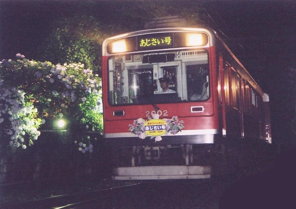 האקונה Suikoukan מראה חיצוני תמונה